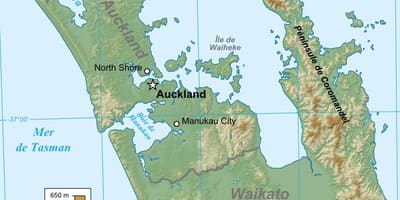 Auckland geological map
