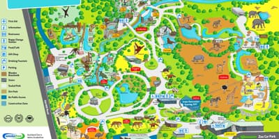 Mapa ng Auckland zoo